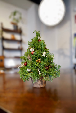 CRANKオリジナル・クリスマスツリー2025　Sサイズ